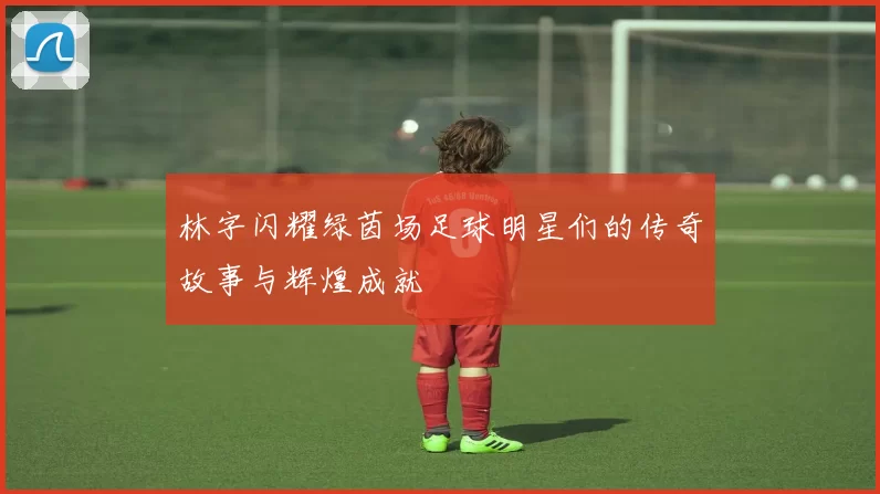 林字闪耀绿茵场足球明星们的传奇故事与辉煌成就
