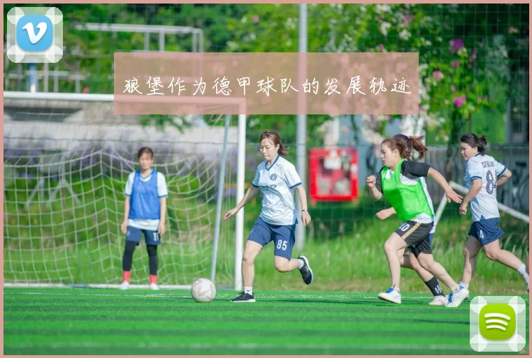狼堡作为德甲球队的发展轨迹