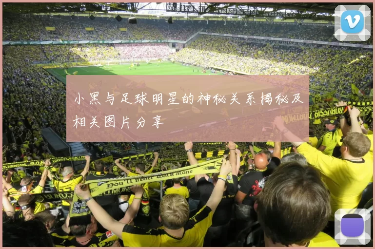 小黑与足球明星的神秘关系揭秘及相关图片分享