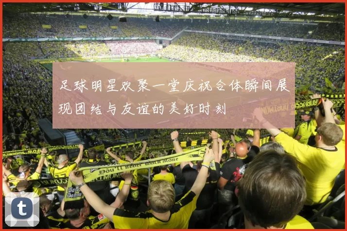 足球明星欢聚一堂庆祝合体瞬间展现团结与友谊的美好时刻