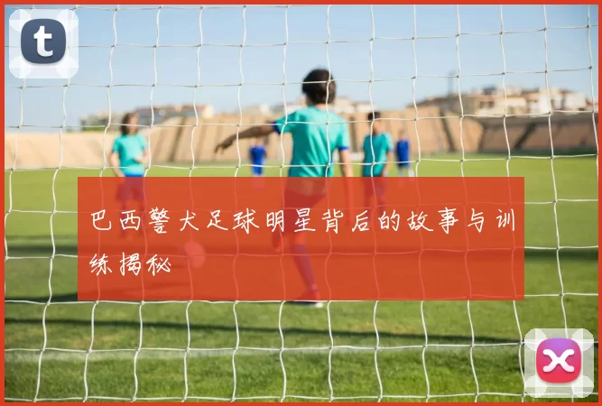 巴西警犬足球明星背后的故事与训练揭秘