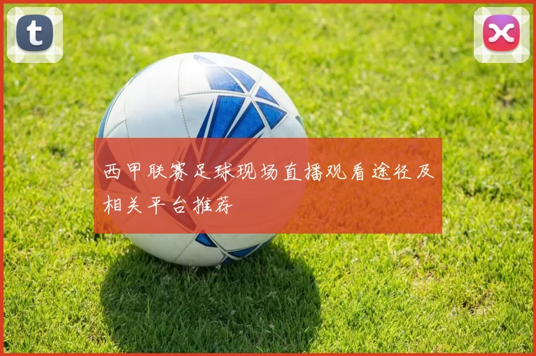 西甲联赛足球现场直播观看途径及相关平台推荐