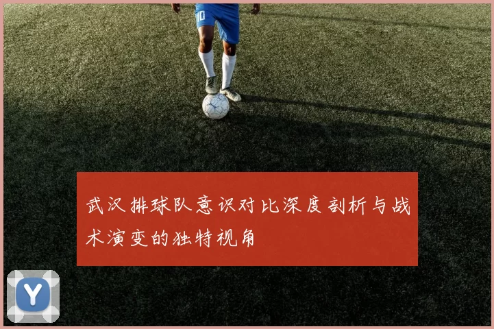 武汉排球队意识对比深度剖析与战术演变的独特视角