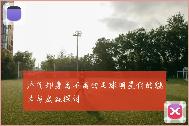 帅气却身高不高的足球明星们的魅力与成就探讨