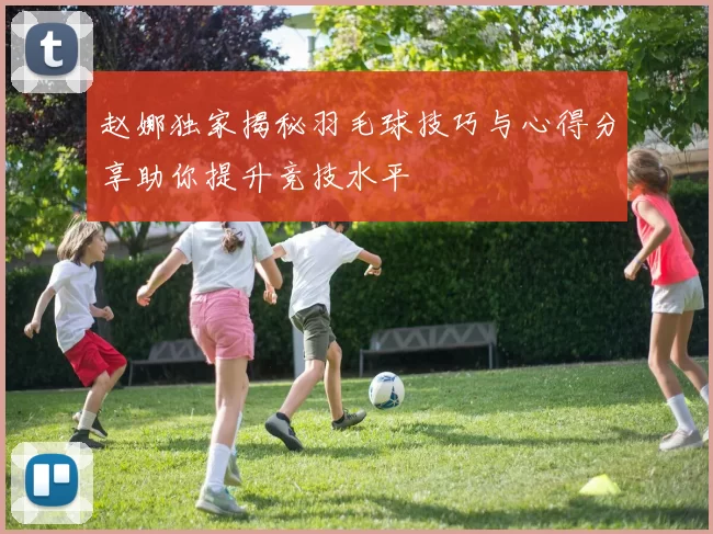 赵娜独家揭秘羽毛球技巧与心得分享助你提升竞技水平