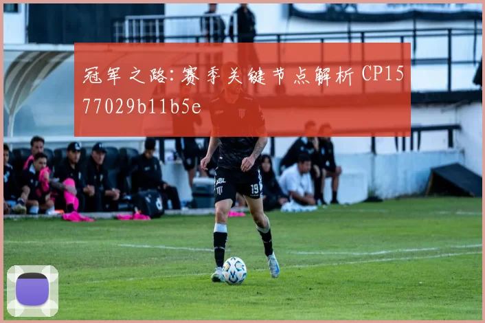 冠军之路:赛季关键节点解析 CP1577029b11b5e
