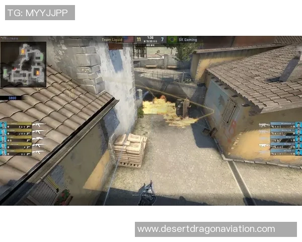 深入分析JDG战队的防守策略与战术执行细节